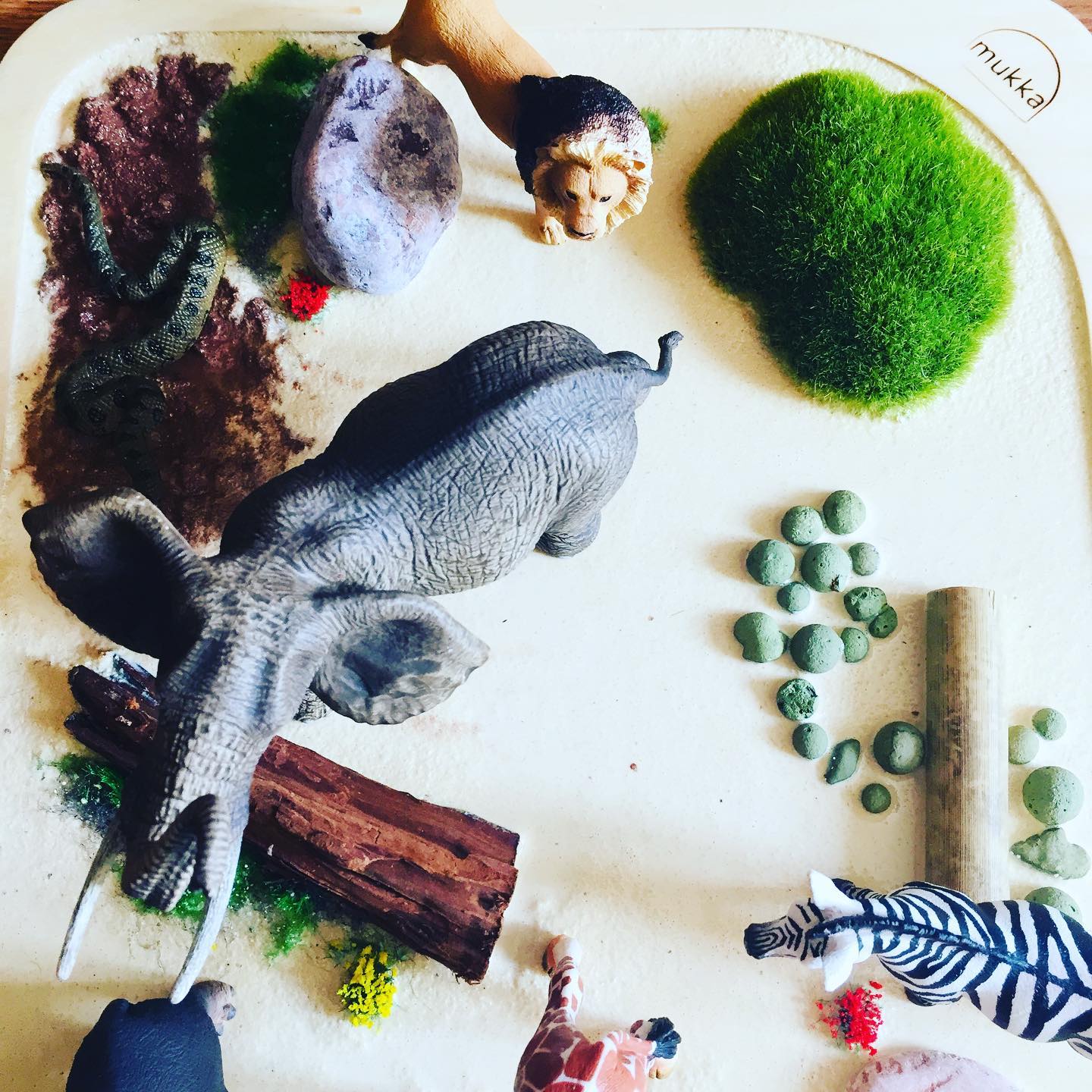 Zajęcia dla dzieci Creative English Babies - multisensoryczny angielski dla dzieci 0-3 lata w Warszawie