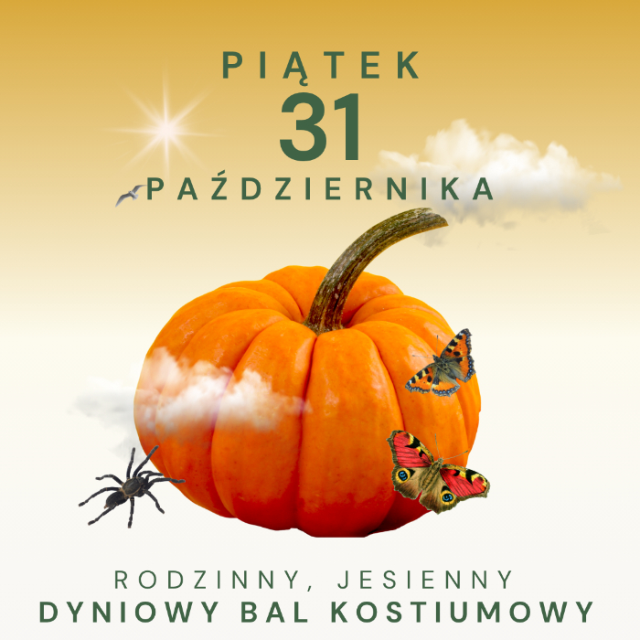 Zajęcia dla dzieci Dyniowy bal kostiumowy w Warszawie