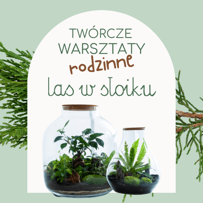 Zajęcia dla dzieci #Zróbmy sobie prezent: las w szklanym słoju. Stwórz własny, zielony mikroświat! w Warszawie