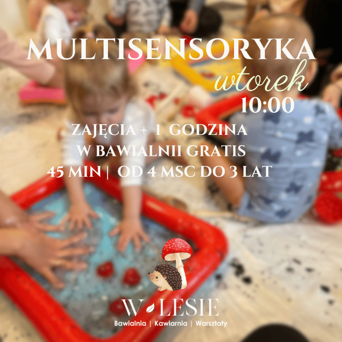 Zajęcia dla dzieci MULTISENSORYKA  w Warszawie