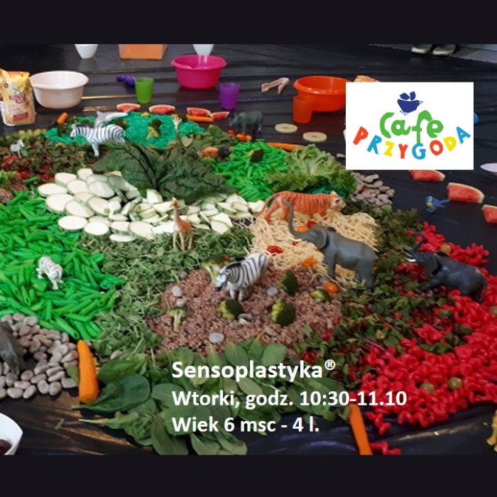 Zajęcia dla dzieci Sensoplatyka® godz. 10:30 w Warszawie