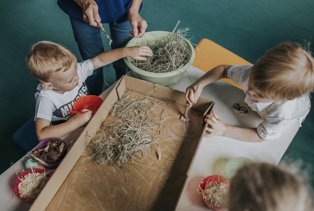 Zajęcia dla dzieci Sensoranki 10-30m w Warszawie