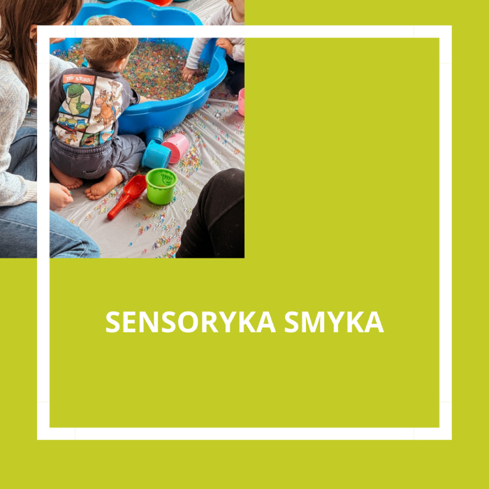 Zajęcia dla dzieci Sensoryka Smyka w Warszawie