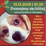 Zajęcia dla dzieci Spotkanie z psem - Tosią + świąteczna fotografia w Warszawie