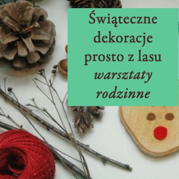 Zajęcia dla dzieci Świąteczne dekoracje prosto z lasu w Warszawie