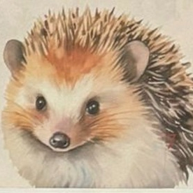 Zajęcia dla dzieci Warsztaty ekologiczne w Warszawie